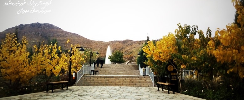 صبح و طبیعت و کوه